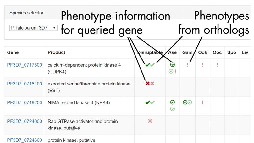 PhenoPlasm: a database of disruption phenotypes for malaria parasite genes