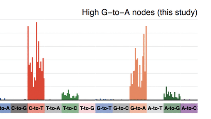 A molnupiravir-associated mutational signature in global SARS-CoV-2 genomes